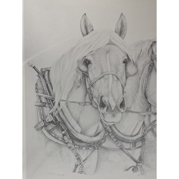 Sue Rupp Horses Pencil Drawing ‘The Girls' Signed Numbered 295/950 - Picture 4 of 10